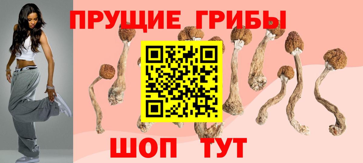 Псилоцибиновые грибы Magic Shrooms Ухта