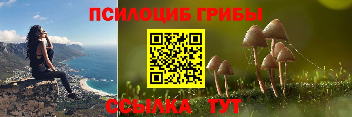 Псилоцибиновые грибы Cubensis  Вход с VPN  Ухта 